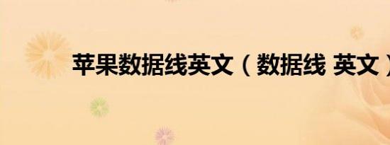 苹果数据线英文（数据线 英文）