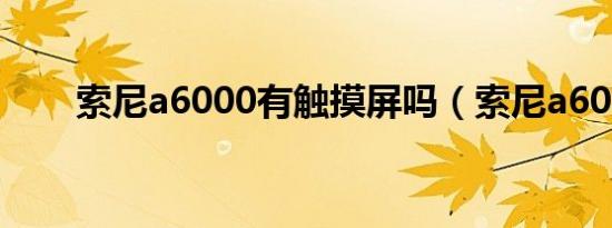 索尼a6000有触摸屏吗（索尼a600）