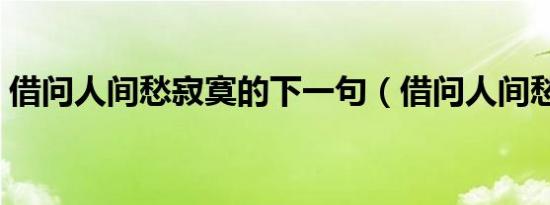 借问人间愁寂寞的下一句（借问人间愁寂意）