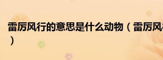 雷厉风行的意思是什么动物（雷厉风行的意思）