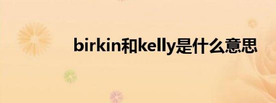 birkin和kelly是什么意思