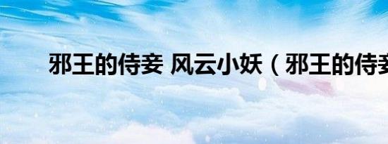 邪王的侍妾 风云小妖（邪王的侍妾）