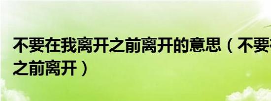不要在我离开之前离开的意思（不要在我离开之前离开）
