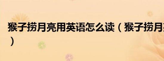 猴子捞月亮用英语怎么读（猴子捞月亮的英文）