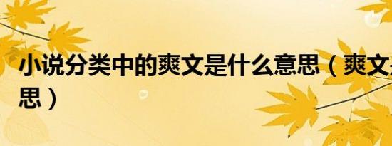 小说分类中的爽文是什么意思（爽文是什么意思）