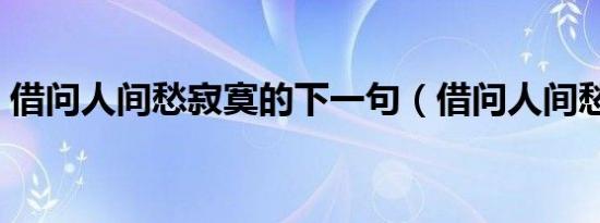 借问人间愁寂寞的下一句（借问人间愁寂意）