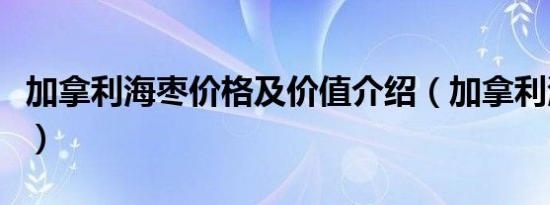 加拿利海枣价格及价值介绍（加拿利海枣价格）