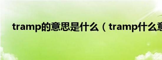 tramp的意思是什么（tramp什么意思）
