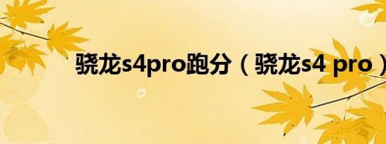 骁龙s4pro跑分（骁龙s4 pro）