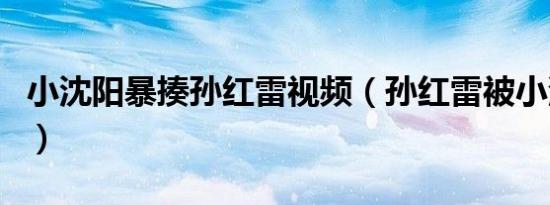 小沈阳暴揍孙红雷视频（孙红雷被小沈阳揍了）