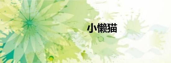 小懒猫