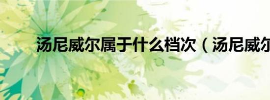 汤尼威尔属于什么档次（汤尼威尔）