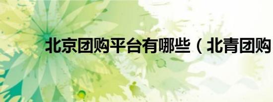北京团购平台有哪些（北青团购）
