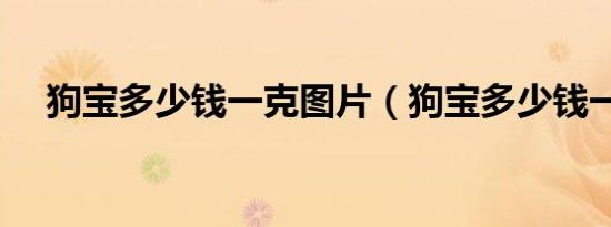 狗宝多少钱一克图片（狗宝多少钱一克）