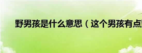 野男孩是什么意思（这个男孩有点野）