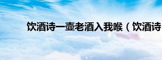 饮酒诗一壶老酒入我喉（饮酒诗）