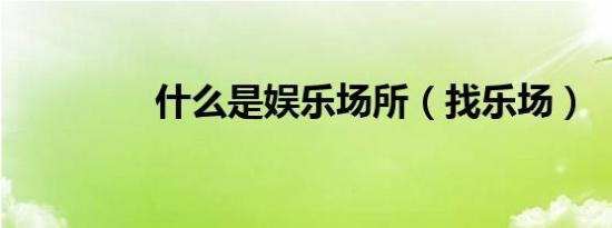 什么是娱乐场所（找乐场）
