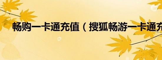 畅购一卡通充值（搜狐畅游一卡通充值）