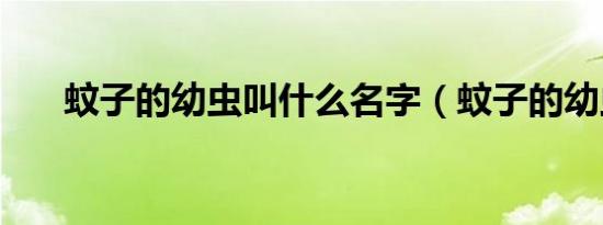 蚊子的幼虫叫什么名字（蚊子的幼虫）