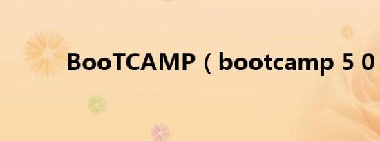 BooTCAMP（bootcamp 5 0）