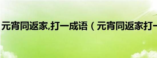 元宵同返家,打一成语（元宵同返家打一成语）