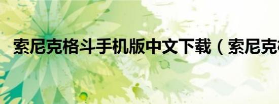 索尼克格斗手机版中文下载（索尼克格斗）