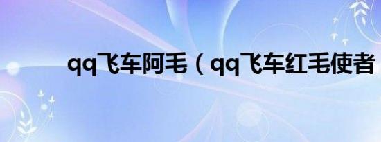 qq飞车阿毛（qq飞车红毛使者）