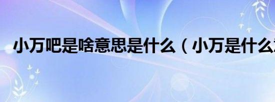 小万吧是啥意思是什么（小万是什么意思）