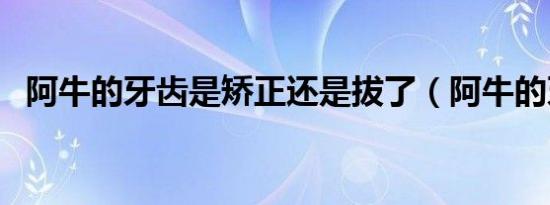 阿牛的牙齿是矫正还是拔了（阿牛的牙齿）