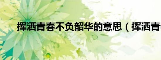 挥洒青春不负韶华的意思（挥洒青春）