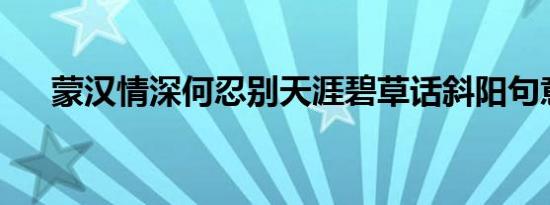 蒙汉情深何忍别天涯碧草话斜阳句意思