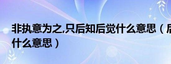 非执意为之,只后知后觉什么意思（后知后觉什么意思）