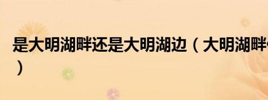 是大明湖畔还是大明湖边（大明湖畔什么意思）