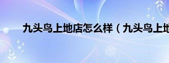 九头鸟上地店怎么样（九头鸟上地）