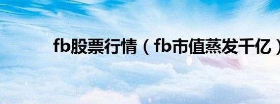 fb股票行情（fb市值蒸发千亿）