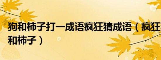 狗和柿子打一成语疯狂猜成语（疯狂猜成语狗和柿子）