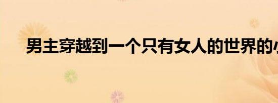 男主穿越到一个只有女人的世界的小说