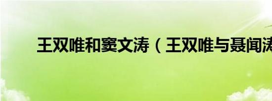 王双唯和窦文涛（王双唯与聂闻涛）