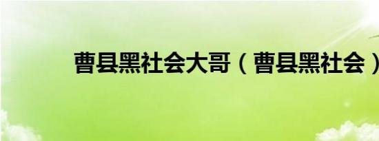 曹县黑社会大哥（曹县黑社会）