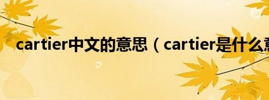 cartier中文的意思（cartier是什么意思）