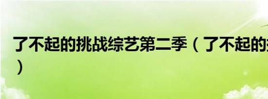 了不起的挑战综艺第二季（了不起的挑战综艺）