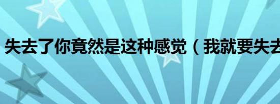 失去了你竟然是这种感觉（我就要失去感觉）