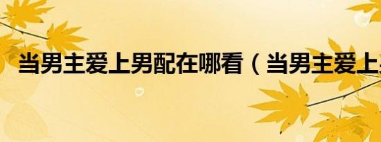 当男主爱上男配在哪看（当男主爱上男配）
