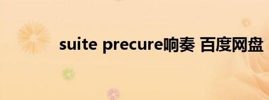 suite precure响奏 百度网盘