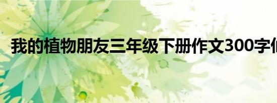 我的植物朋友三年级下册作文300字仙人掌