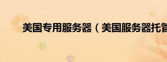 美国专用服务器（美国服务器托管）