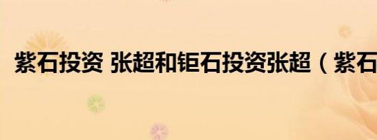 紫石投资 张超和钜石投资张超（紫石投资）