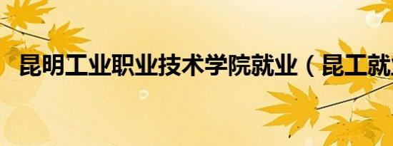 昆明工业职业技术学院就业（昆工就业网）