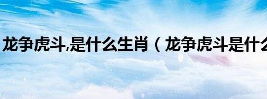 龙争虎斗,是什么生肖（龙争虎斗是什么生肖）