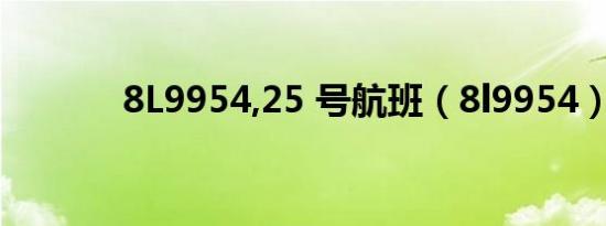 8L9954,25 号航班（8l9954）